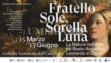 La Galleria Nazionale dell'Umbria celebra l’arte e la natura: in arrivo la mostra “Fratello Sole, Sorella Luna” 10 La Galleria Nazionale dell'Umbria celebra l’arte e la natura: in arrivo la mostra “Fratello Sole, Sorella Luna” 9