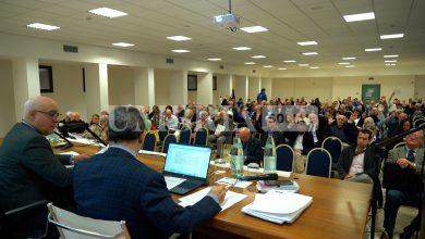 Avis Umbria: crescono le donazioni di sangue intero, ma c’è bisogno di plasma 16 Avis Umbria: crescono le donazioni di sangue intero, ma c’è bisogno di plasma 15