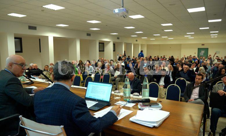 Avis Umbria: crescono le donazioni di sangue intero, ma c’è bisogno di plasma 2 Avis Umbria: crescono le donazioni di sangue intero, ma c’è bisogno di plasma 1