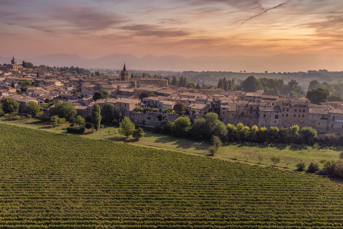 Bevagna brinda al vino buono, pulito e giusto: torna il Mevania Wine Festival 3