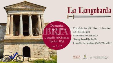 Parte il ciclo e oleoturismo in Umbria: pedalate tra uliveti e frantoi per scoprire l'oro verde 12 Parte il ciclo e oleoturismo in Umbria: pedalate tra uliveti e frantoi per scoprire l'oro verde 11