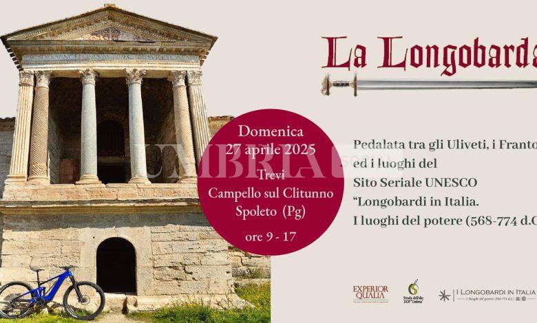 Parte il ciclo e oleoturismo in Umbria: pedalate tra uliveti e frantoi per scoprire l'oro verde 2 Parte il ciclo e oleoturismo in Umbria: pedalate tra uliveti e frantoi per scoprire l'oro verde 1