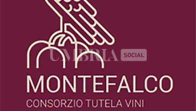 Dazi sul vino negli USA: l’Umbria chiede intervento al ministro Lollobrigida per proteggere l’eccellenza italiana 1