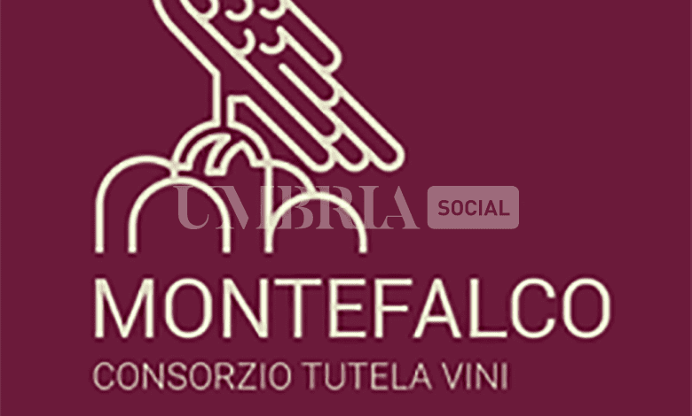 Dazi sul vino negli USA: l’Umbria chiede intervento al ministro Lollobrigida per proteggere l’eccellenza italiana 2 Dazi sul vino negli USA: l’Umbria chiede intervento al ministro Lollobrigida per proteggere l’eccellenza italiana 1