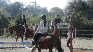 Equilibri Equini: il progetto di inclusione per bambini autistici con il supporto dei pony 18 Equilibri Equini: il progetto di inclusione per bambini autistici con il supporto dei pony 17