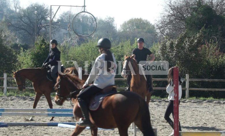 Equilibri Equini: il progetto di inclusione per bambini autistici con il supporto dei pony 2 Equilibri Equini: il progetto di inclusione per bambini autistici con il supporto dei pony 1