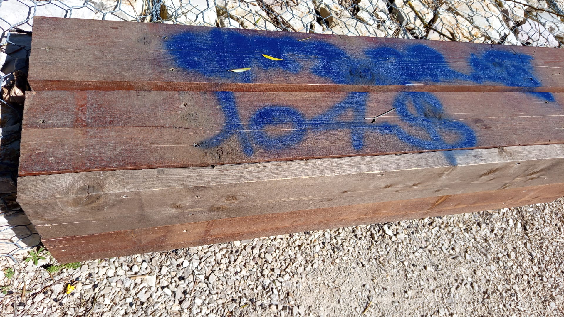 Vandali nel Parco degli Olivi della Consolazione a Todi: denunciato il danneggiamento e si appella alla cittadinanza 3