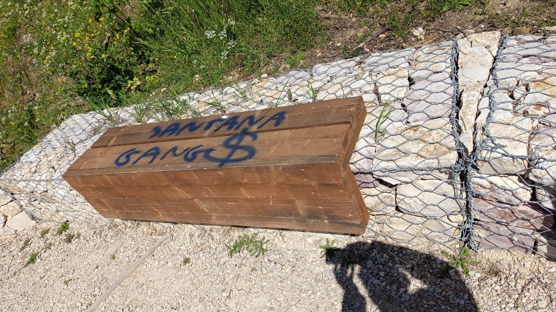 Vandali nel Parco degli Olivi della Consolazione a Todi: denunciato il danneggiamento e si appella alla cittadinanza 9
