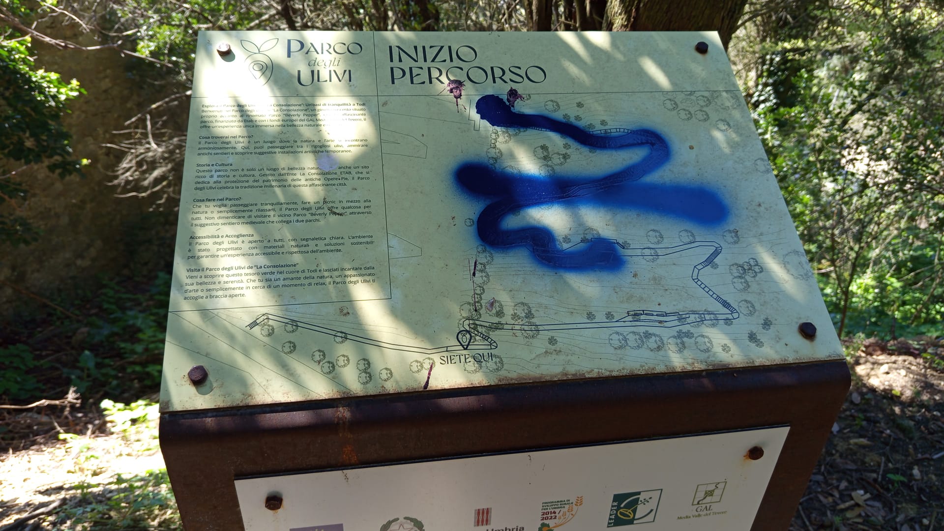 Vandali nel Parco degli Olivi della Consolazione a Todi: denunciato il danneggiamento e si appella alla cittadinanza 11