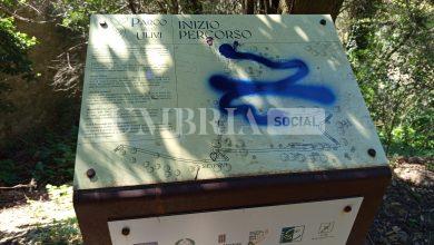 Vandali nel Parco degli Olivi della Consolazione a Todi: denunciato il danneggiamento e si appella alla cittadinanza 18 Vandali nel Parco degli Olivi della Consolazione a Todi: denunciato il danneggiamento e si appella alla cittadinanza 17