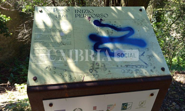 Vandali nel Parco degli Olivi della Consolazione a Todi: denunciato il danneggiamento e si appella alla cittadinanza 2 Vandali nel Parco degli Olivi della Consolazione a Todi: denunciato il danneggiamento e si appella alla cittadinanza 1