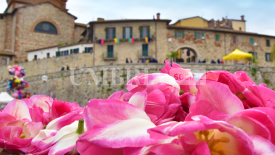 Castiglione del Lago Celebra i "Piccoli Stati" alla 55ª Festa del Tulipano 10 Castiglione del Lago Celebra i "Piccoli Stati" alla 55ª Festa del Tulipano 9