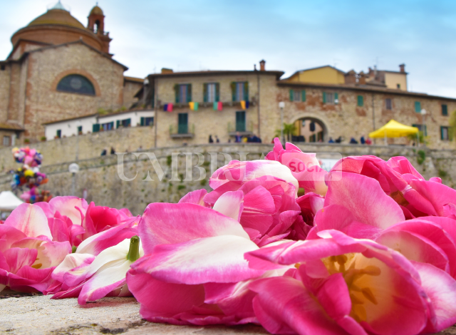 Castiglione del Lago Celebra i "Piccoli Stati" alla 55ª Festa del Tulipano 2 Castiglione del Lago Celebra i "Piccoli Stati" alla 55ª Festa del Tulipano 1