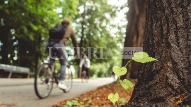 Bettona conquista il podio umbro del cicloturismo: 50.000 euro dal progetto “Bici in Comune” 18