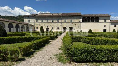 TazzinArt: l’arte del caffè in mostra tra Raffaello e il contemporaneo 4 TazzinArt: l’arte del caffè in mostra tra Raffaello e il contemporaneo 3