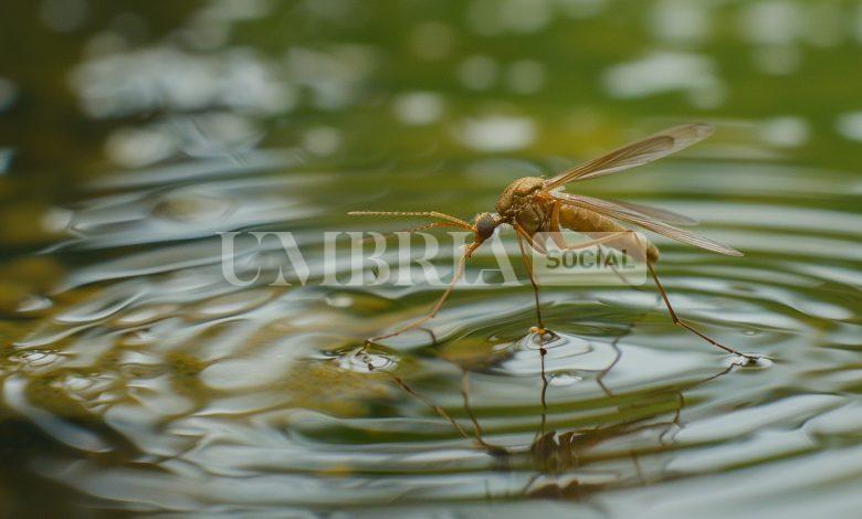 L’Umbria lancia “Isola B”: tecnologia e natura insieme per proteggere il Trasimeno 1