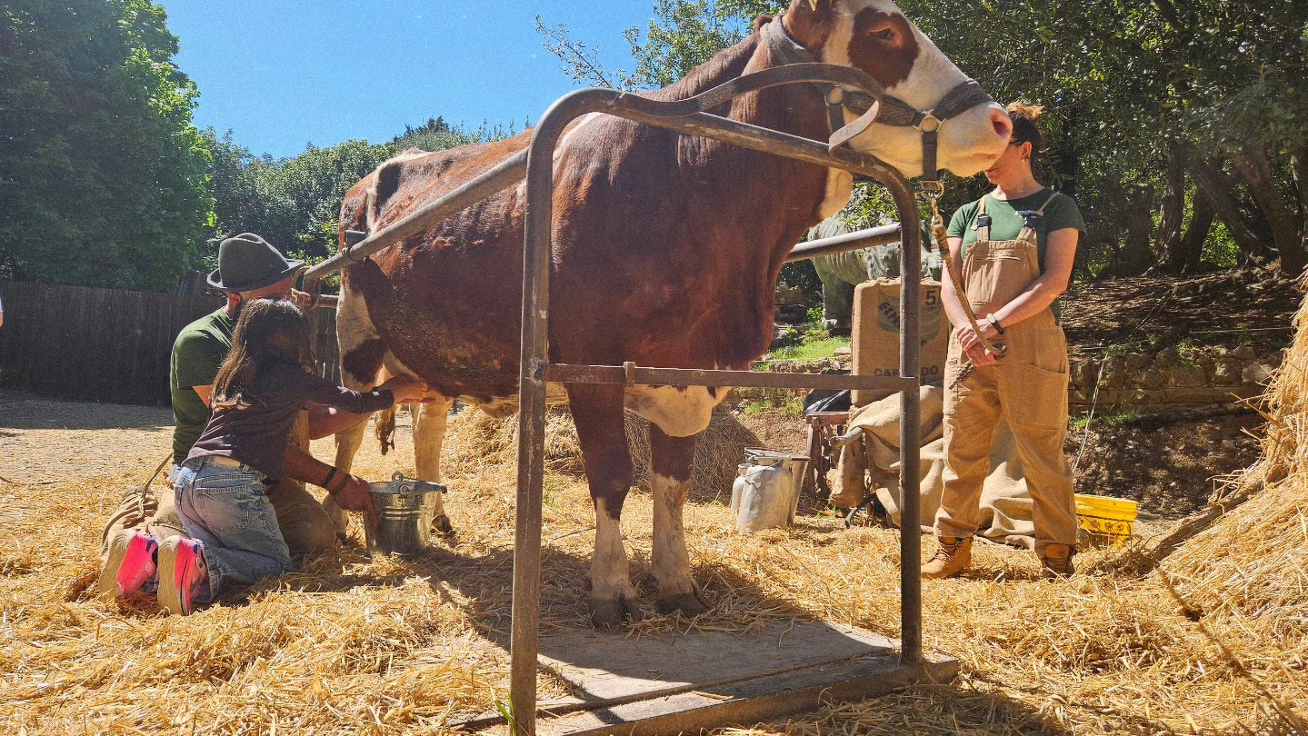 Fiocco rosa a Perugia: è nata Dakota, la nuova bisontina di Città della Domenica 5