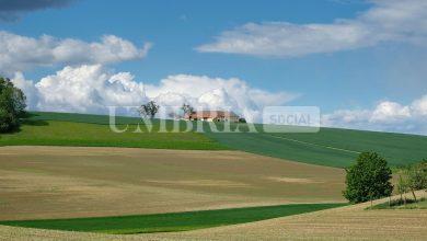 Agriturismi, nuovo bando del CSR 2023/2027 da 3,5 milioni di euro per il rilancio e qualificazione 1