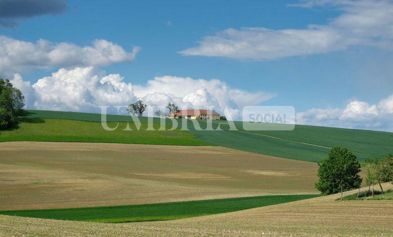 Agriturismi, nuovo bando del CSR 2023/2027 da 3,5 milioni di euro per il rilancio e qualificazione 2 Agriturismi, nuovo bando del CSR 2023/2027 da 3,5 milioni di euro per il rilancio e qualificazione 1