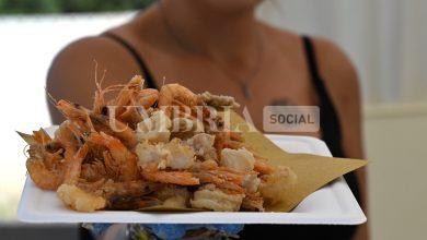 Tutto pronto per la terza edizione di I Love Fish 19