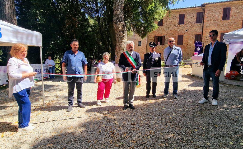 A Città della Pieve inaugurata la nuova pineta: uno spazio rigenerato tra natura, memoria e benessere 4 A Città della Pieve inaugurata la nuova pineta: uno spazio rigenerato tra natura, memoria e benessere 3