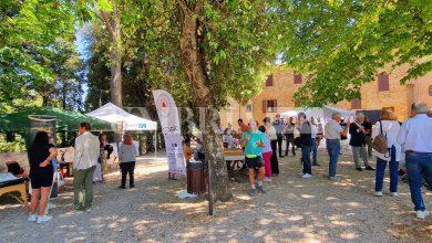 A Città della Pieve inaugurata la nuova pineta: uno spazio rigenerato tra natura, memoria e benessere 1