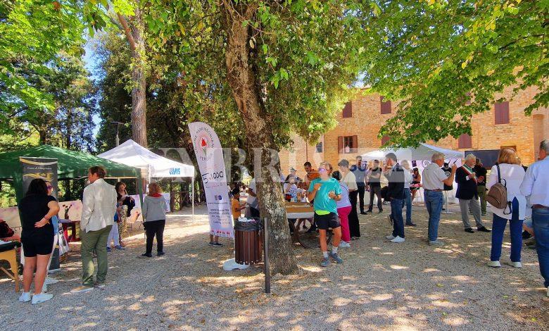 A Città della Pieve inaugurata la nuova pineta: uno spazio rigenerato tra natura, memoria e benessere 2 A Città della Pieve inaugurata la nuova pineta: uno spazio rigenerato tra natura, memoria e benessere 1