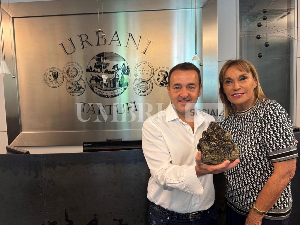 Nei boschi di Montefalco trovato un tartufo da record da oltre 1.4 kg 3