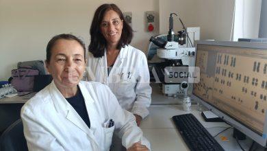 Progetto pilota internazionale per Ematologia di Perugia 20 Progetto pilota internazionale per Ematologia di Perugia 19