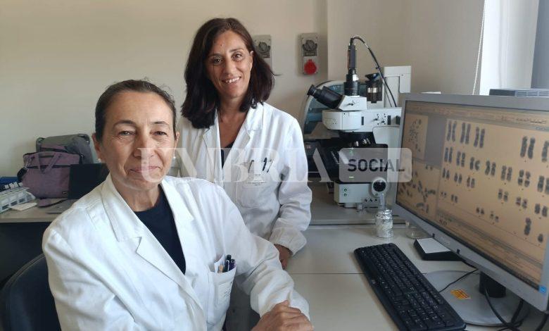 Progetto pilota internazionale per Ematologia di Perugia 2 Progetto pilota internazionale per Ematologia di Perugia 1