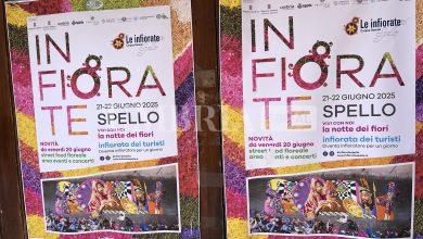 Infiorate di Spello 2025, tutto pronto nel borgo umbro per la notte dei fiori (foto+video) 3
