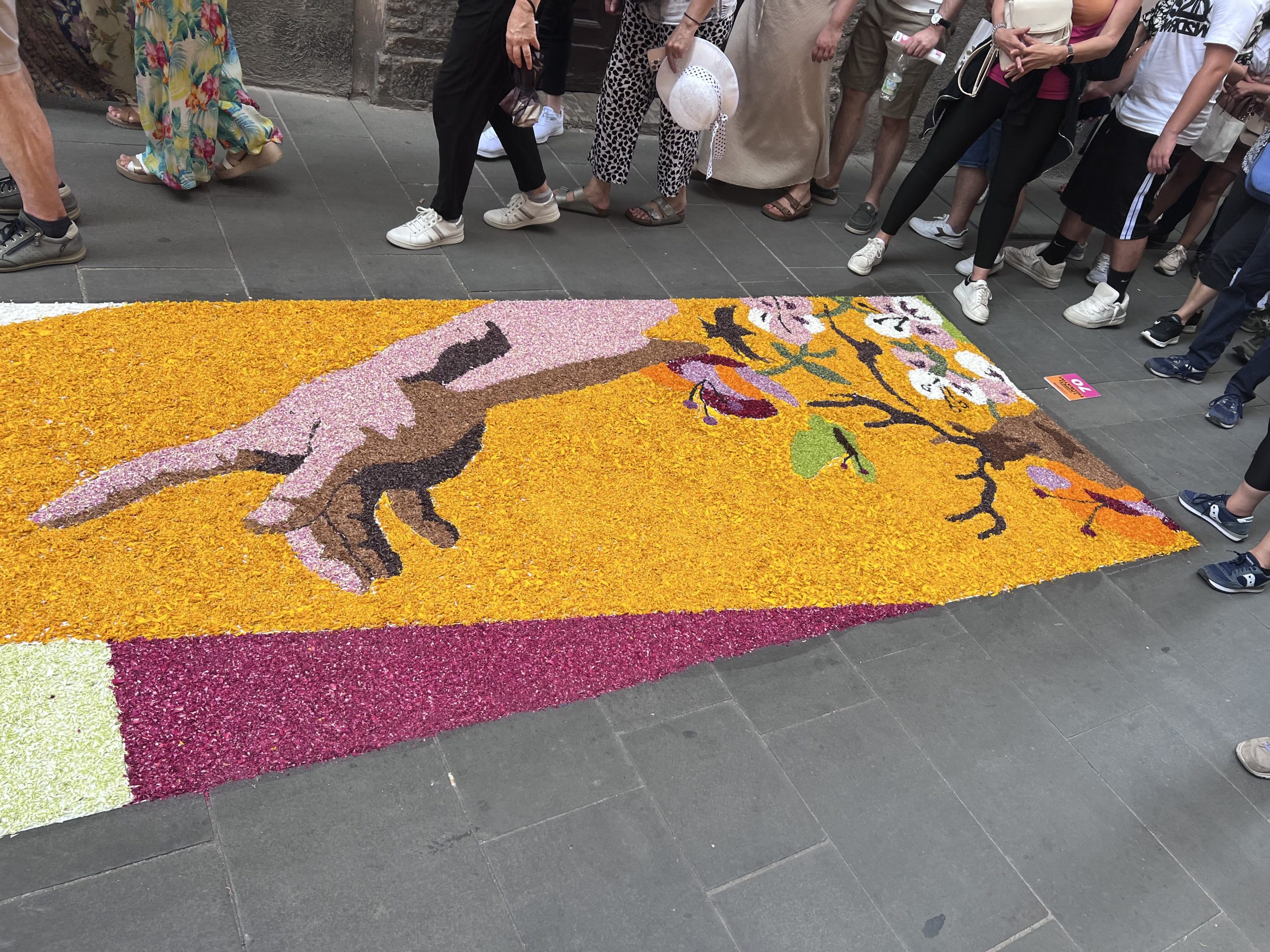 La magia delle Infiorate di Spello, in tantissimi per il Corpus Domini 2025 nel borgo umbro (foto) 15