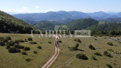 La Rampicorno 2025: la mountain bike torna a dominare i sentieri di Verchiano 4 La Rampicorno 2025: la mountain bike torna a dominare i sentieri di Verchiano 3