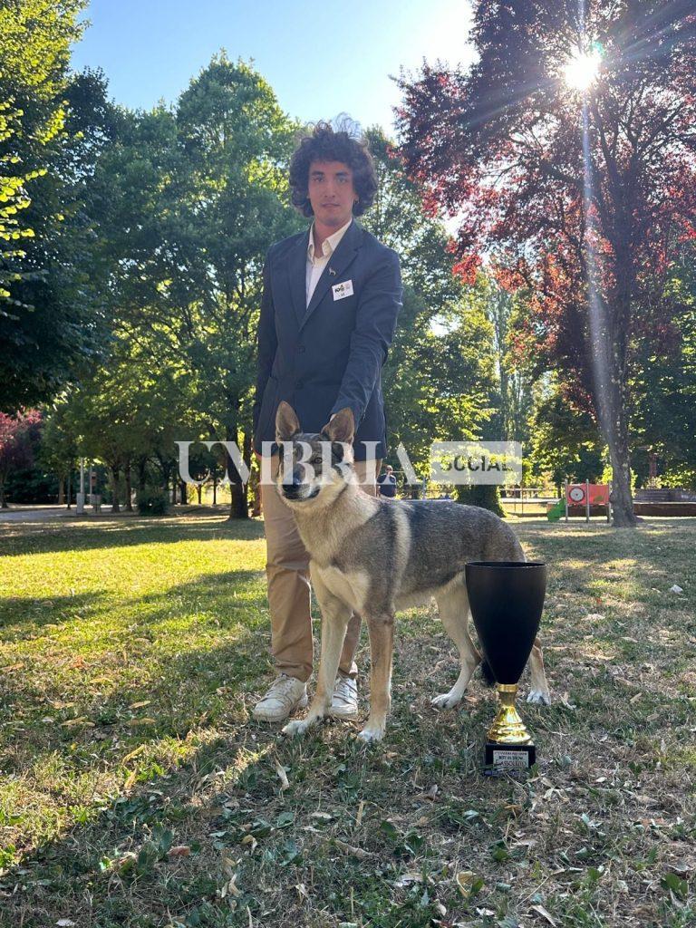 Tiferno Dog show, la regina è Glyphis, due anni 4 Tiferno Dog show, la regina è Glyphis, due anni 3