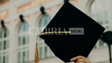 Approvate le linee guida per le borse di studio Adisu 2025/2026 4