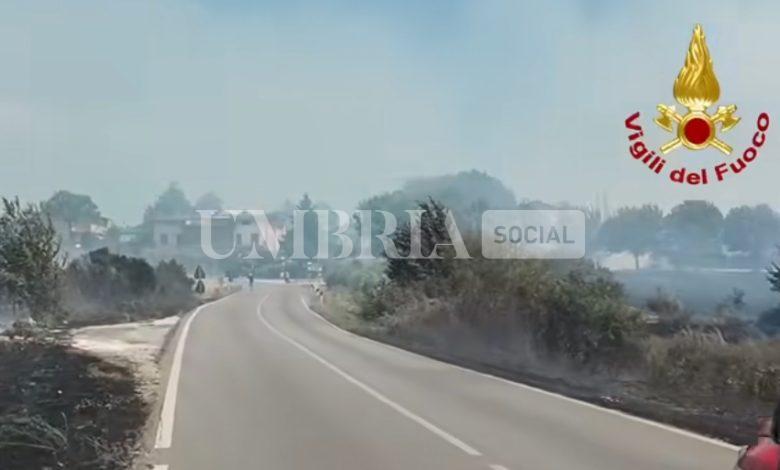 Grande lavoro dei Vigili del Fuoco per domare l’incendio a San Martino in Colle (foto) 1