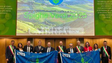 Assegnate le Spighe Verdi 2025: sono 8 i Comuni dell'Umbria eccellenze rurali italiane 20 Assegnate le Spighe Verdi 2025: sono 8 i Comuni dell'Umbria eccellenze rurali italiane 19