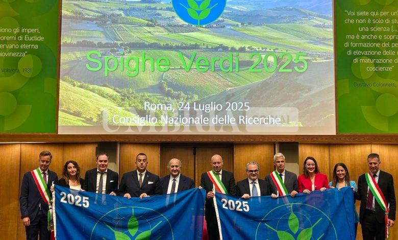 Assegnate le Spighe Verdi 2025: sono 8 i Comuni dell'Umbria eccellenze rurali italiane 1