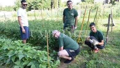 A Città di Castello ortaggi a "metro zero" grazie agli ortolani del sorriso della solidarietà e inclusione 2 A Città di Castello ortaggi a "metro zero" grazie agli ortolani del sorriso della solidarietà e inclusione 1