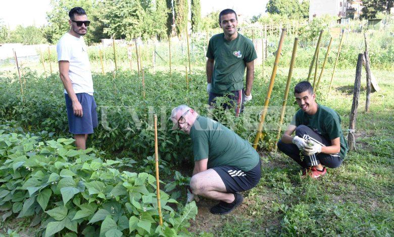 A Città di Castello ortaggi a "metro zero" grazie agli ortolani del sorriso della solidarietà e inclusione 1