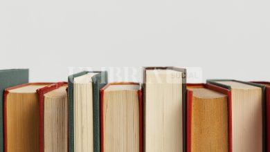 L’Umbria si candida come regione ospite al Salone del Libro di Torino 2026 10 L’Umbria si candida come regione ospite al Salone del Libro di Torino 2026 9