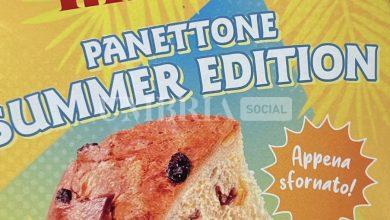 Il panettone pure d'estate? Lo lancia Maina e - con la speciale summer edition - si trova anche in tutti gli Autogrill d'Italia 3