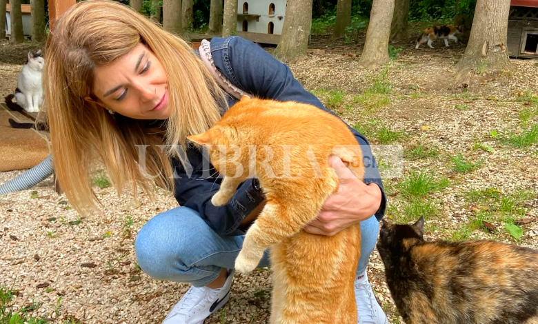 Ospedale veterinario gratuito H24. Scoccia: “Occasione per riqualificare immobili abbandonati” 2 Ospedale veterinario gratuito H24. Scoccia: “Occasione per riqualificare immobili abbandonati” 1
