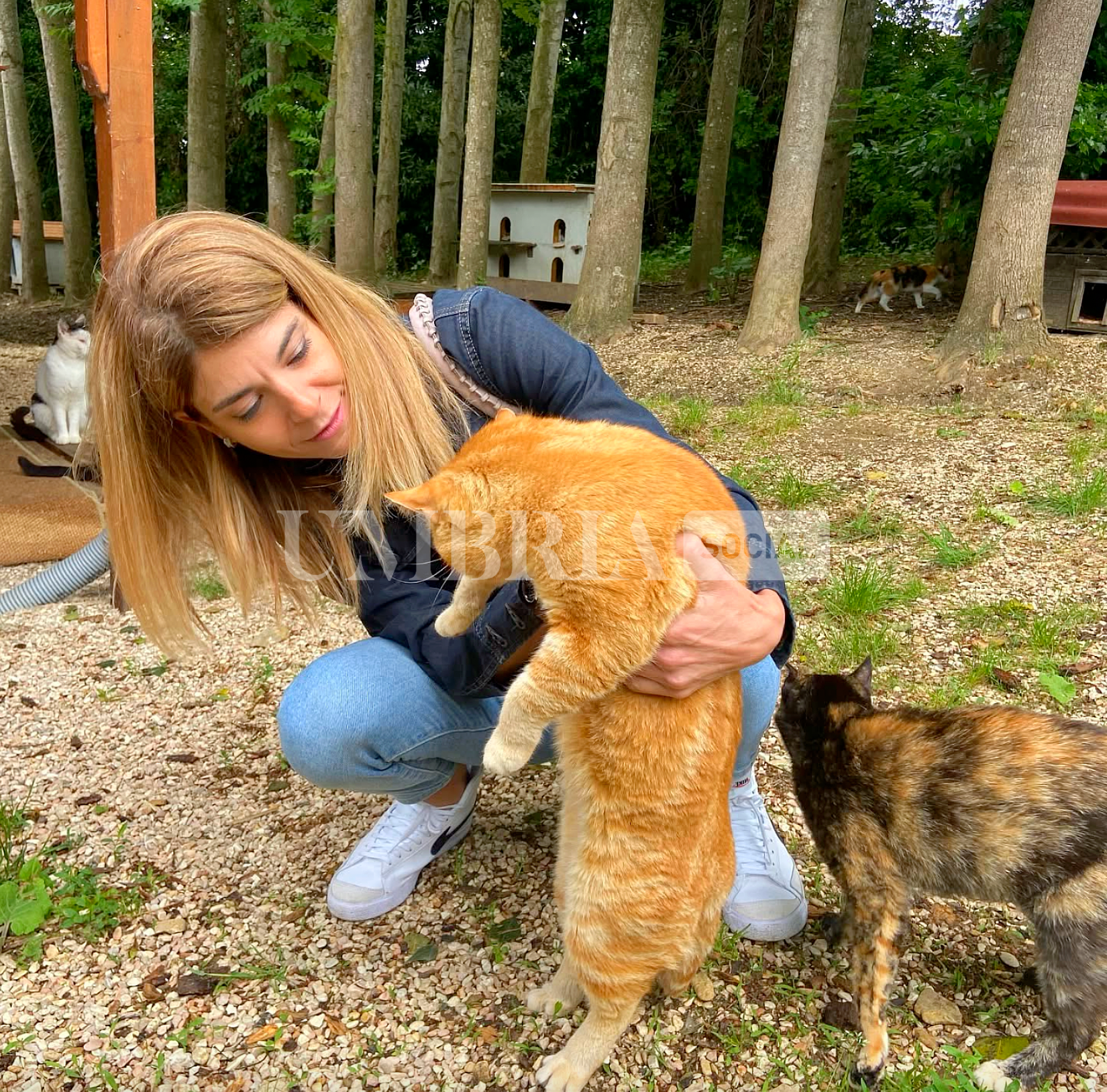Ospedale veterinario gratuito H24. Scoccia: “Occasione per riqualificare immobili abbandonati” 57