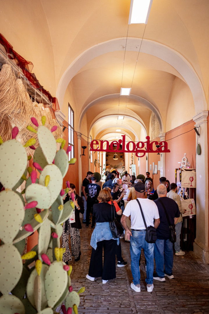 Montefalco capitale del vino: torna “Enologica – Abbinamenti 2025” 3