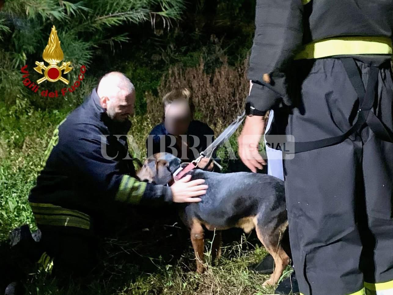 Cane sfugge alla proprietaria, salvato dai Vigili del Fuoco a Ponte San Giovanni (foto) 25