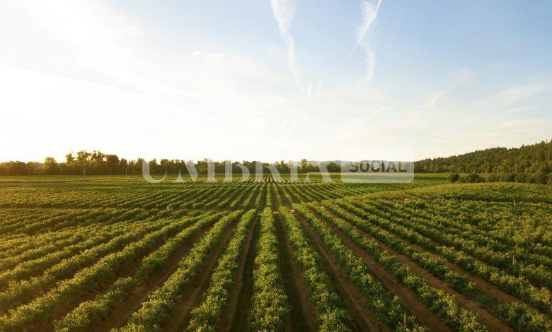 Oltre 450 scatti e più di 120 partecipanti ad "Angolo di Campo, un altro modo di raccontare l’agricoltura" 1