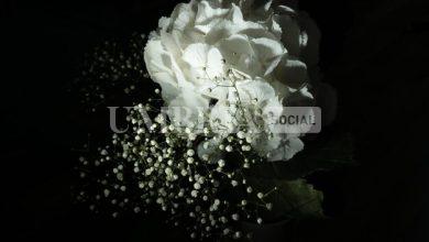 La Città di Perugia ricorda Laura Santi alla Sala dei Notari 16 La Città di Perugia ricorda Laura Santi alla Sala dei Notari 15