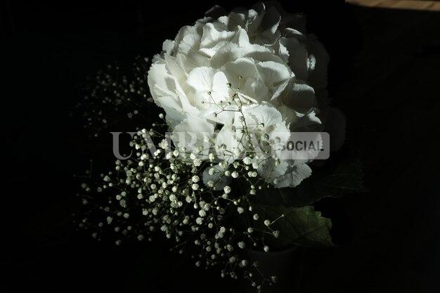 La Città di Perugia ricorda Laura Santi alla Sala dei Notari 2 La Città di Perugia ricorda Laura Santi alla Sala dei Notari 1