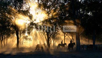 Tra Città di Castello e Assisi un percorso a cavallo nel nome di San Francesco 7